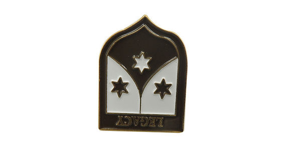 Custom Shape Enamel Lapel Pins Polish Backside Die Casting Process supplier